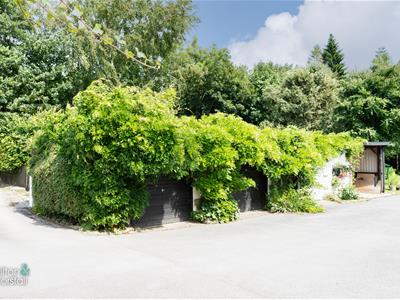 Picture 45
